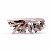 Large teak root console table with washed finish and sculptural natural form