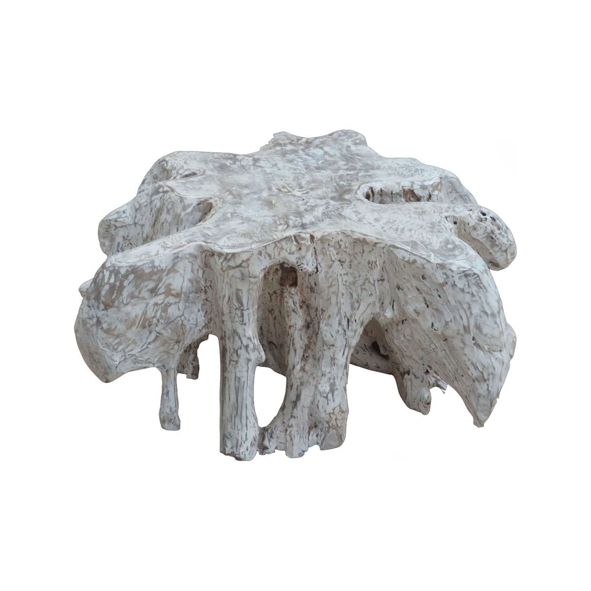 Teak root coffee table with washed finish and sculptural, organic form