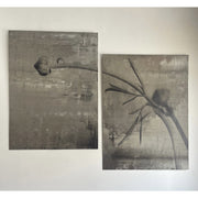 Paired photographic study of a botanical bud on two concrete panels
