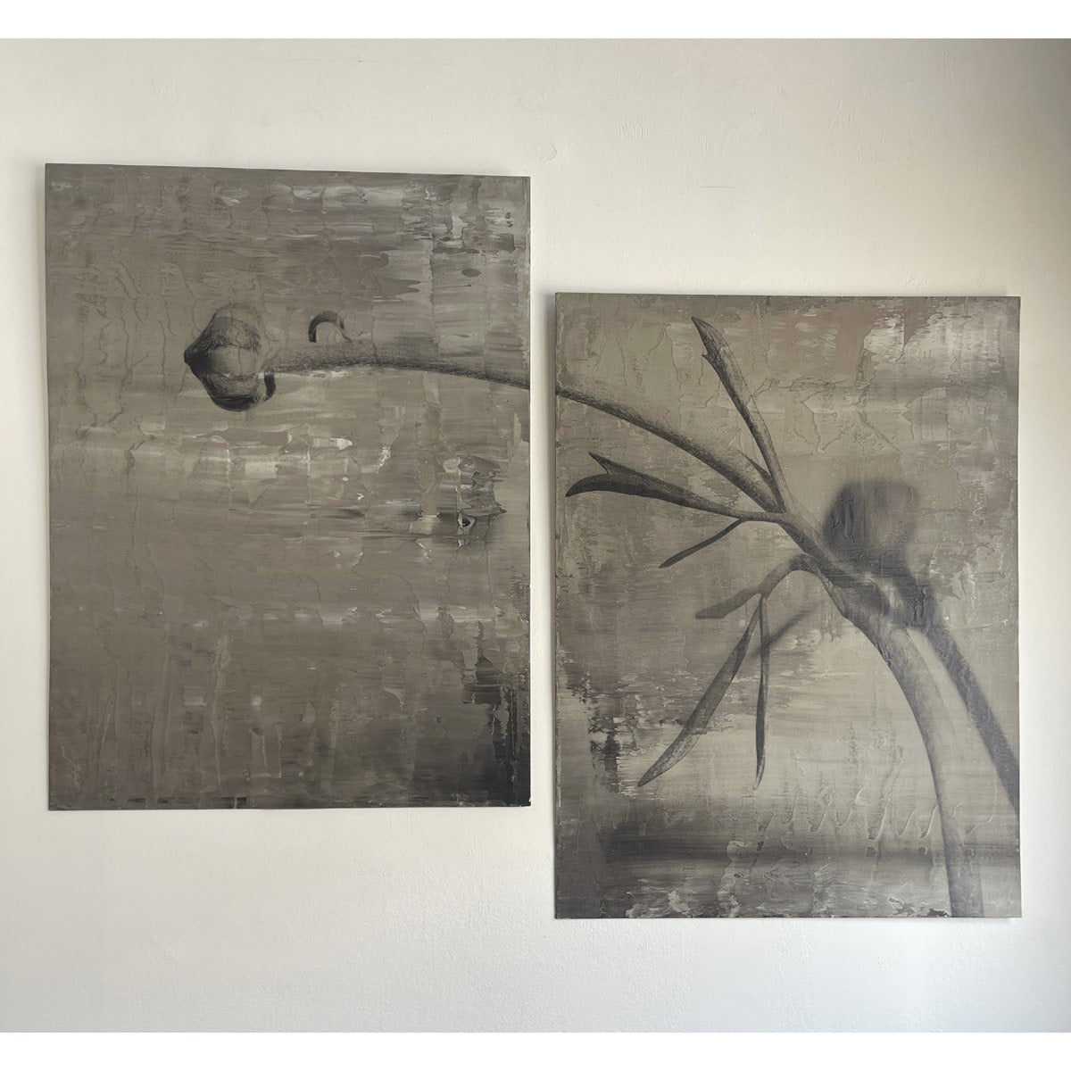 Paired photographic study of a botanical bud on two concrete panels