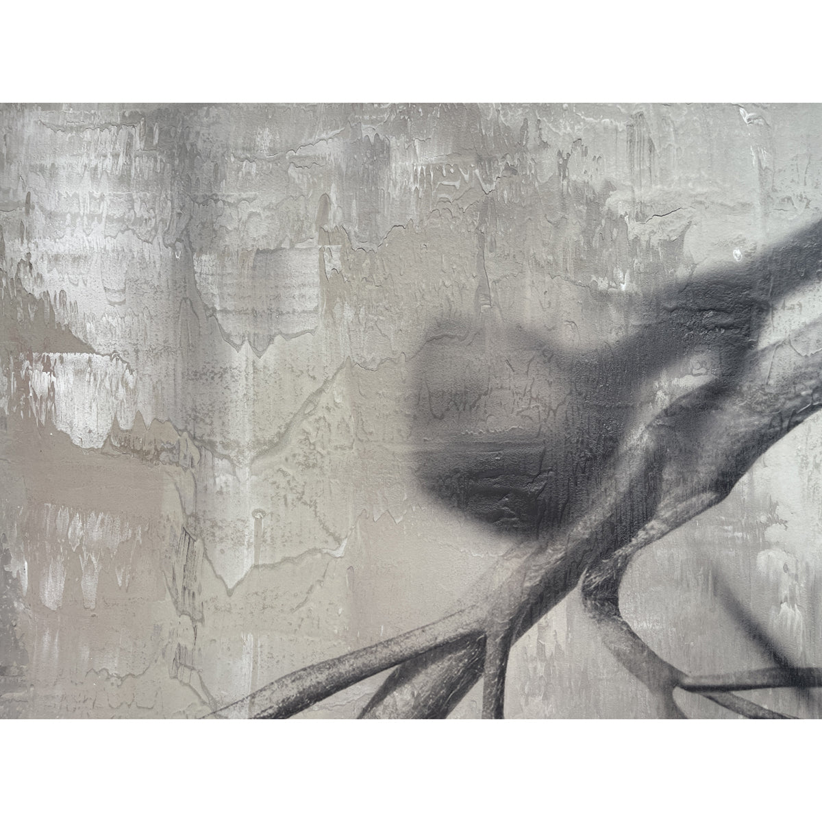 Paired photographic study of a botanical bud on two concrete panels