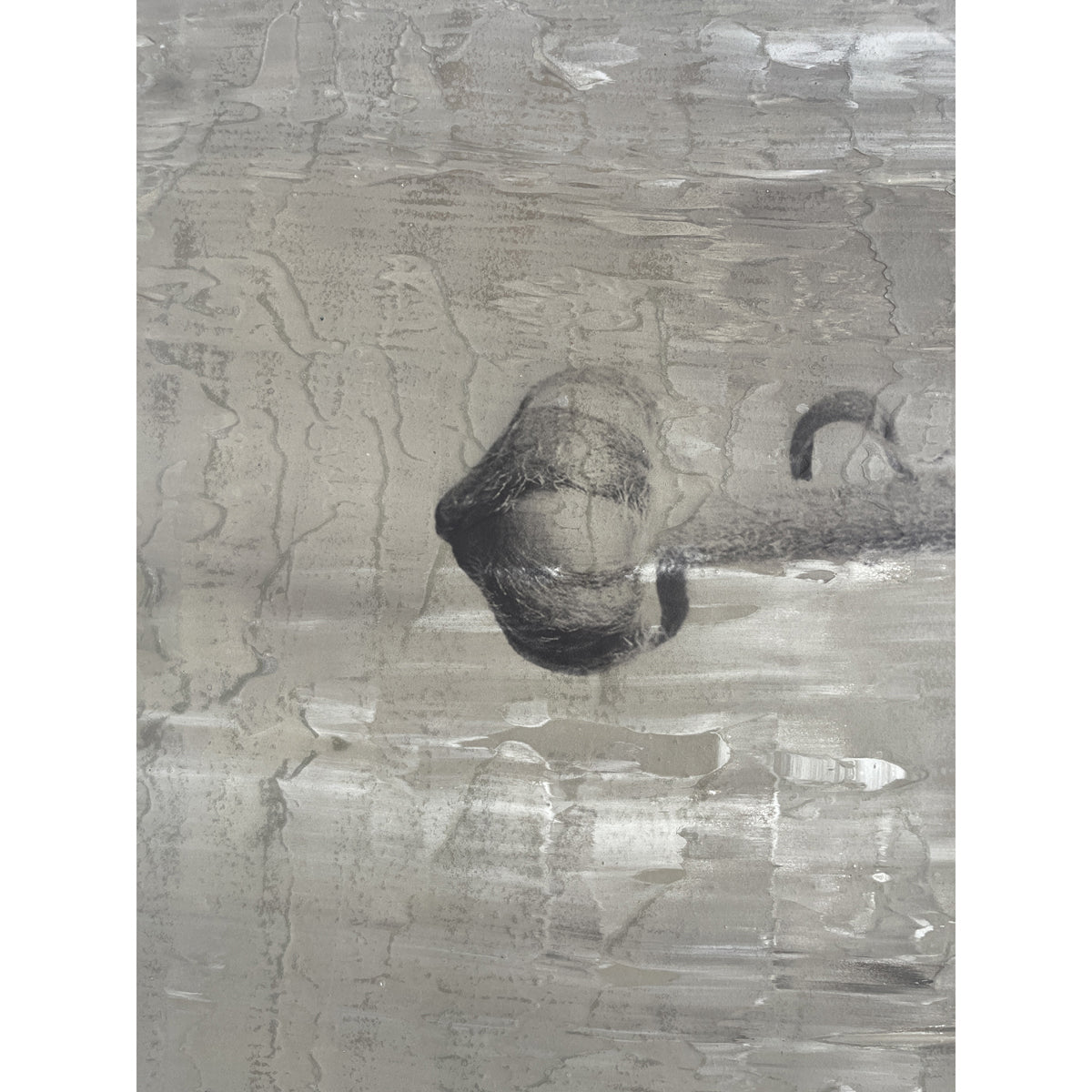 Paired photographic study of a botanical bud on two concrete panels