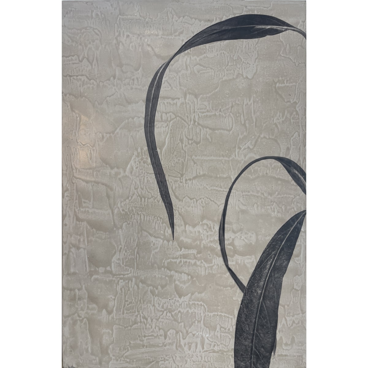 Photographic botanical leaf study on a textured concrete panel