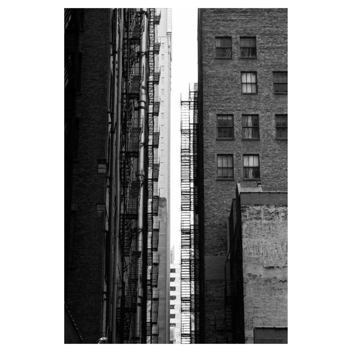 Black and white photograph of fire escapes lining a narrow city alley