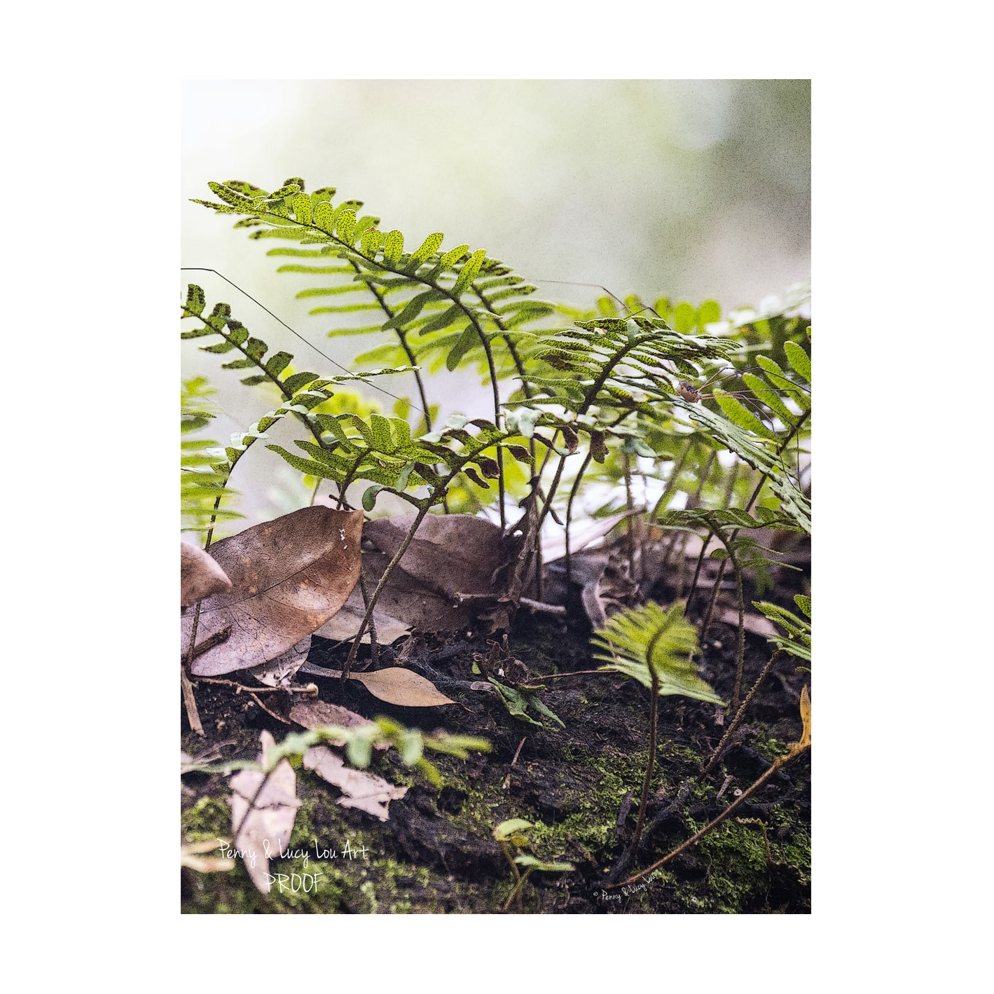 Penny & Lucy Lou Art Resurrection Fern I