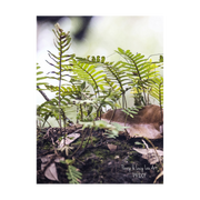Penny & Lucy Lou Art Resurrection Fern II