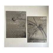 Stevi Michner Art - Bud on Concrete - Pair