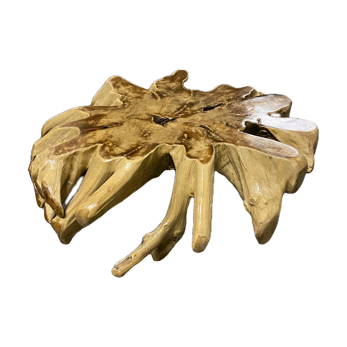Teak Root Coffee Table
