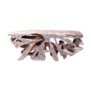 Teak Root Console Washed Finish Large