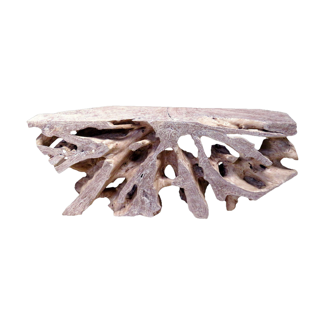 Teak Root Console Washed Finish Large
